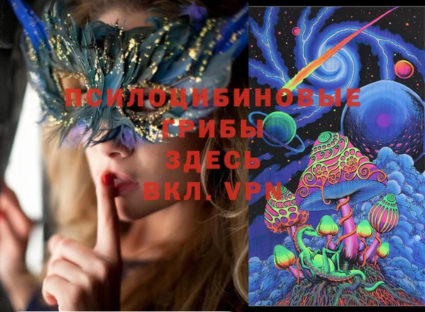 прущие крисы Арсеньев