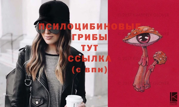 прущие крисы Арсеньев