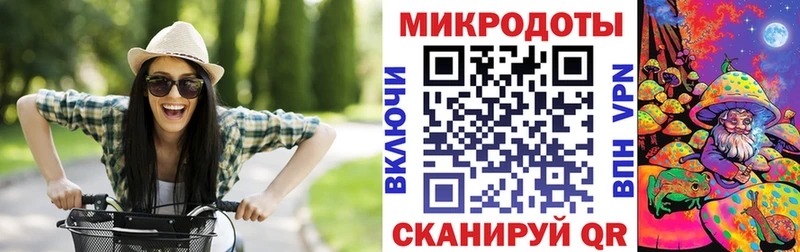 Псилоцибиновые грибы GOLDEN TEACHER купить наркотики цена Краснослободск
